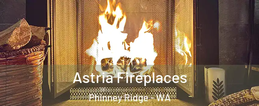 Astria Fireplaces Phinney Ridge - WA