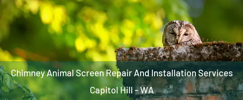 Chimney Animal Screen Repair And Installation Services Capitol Hill - WA