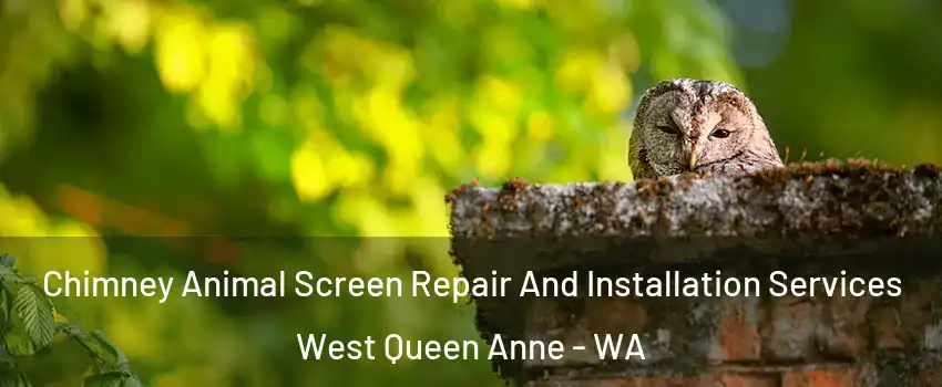 Chimney Animal Screen Repair And Installation Services West Queen Anne - WA