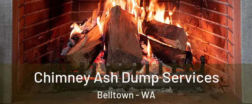 Chimney Ash Dump Services Belltown - WA