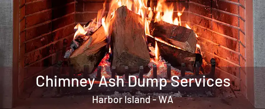 Chimney Ash Dump Services Harbor Island - WA