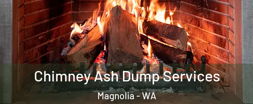 Chimney Ash Dump Services Magnolia - WA
