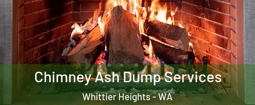 Chimney Ash Dump Services Whittier Heights - WA