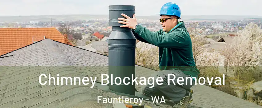 Chimney Blockage Removal Fauntleroy - WA