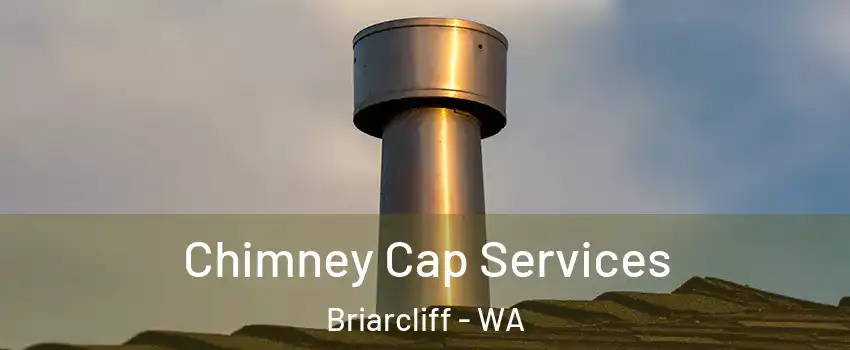 Chimney Cap Services Briarcliff - WA