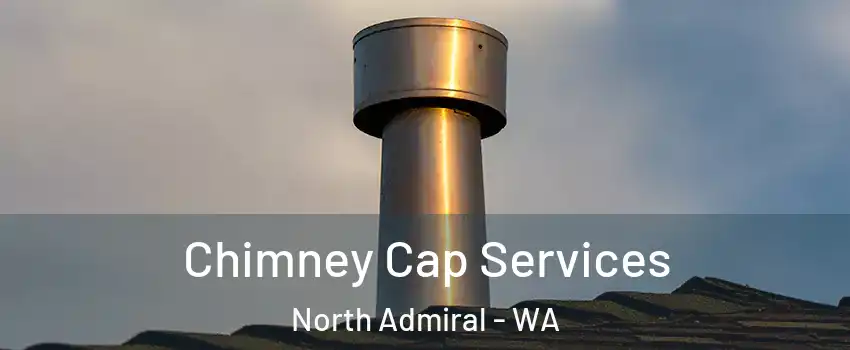 Chimney Cap Services North Admiral - WA