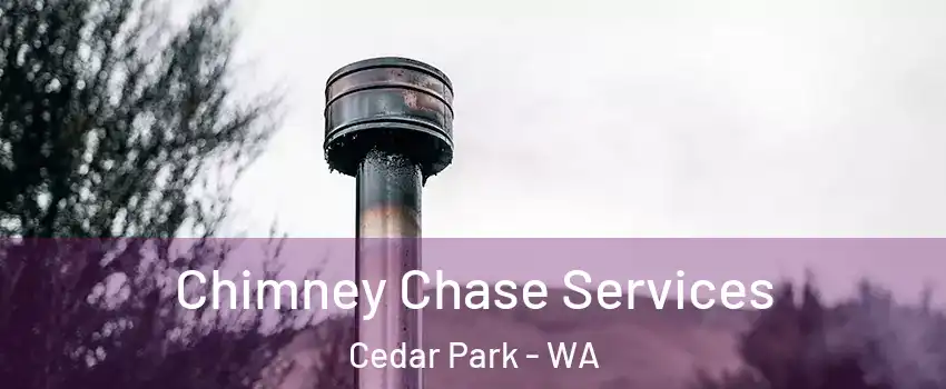 Chimney Chase Services Cedar Park - WA