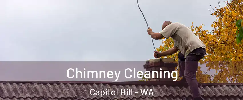 Chimney Cleaning Capitol Hill - WA