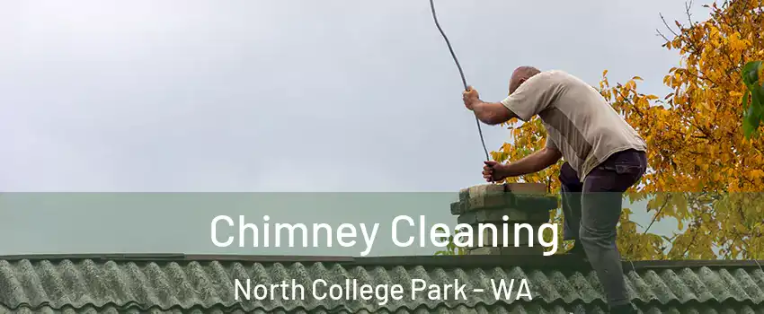 Chimney Cleaning North College Park - WA