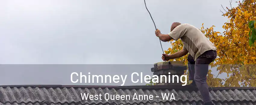 Chimney Cleaning West Queen Anne - WA