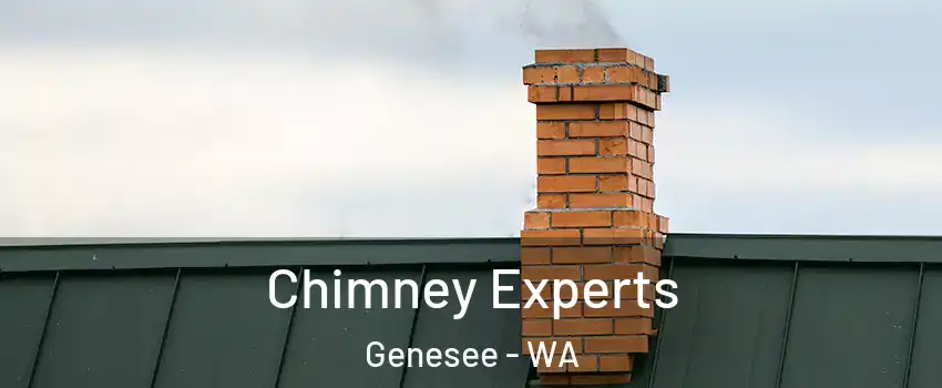 Chimney Experts Genesee - WA