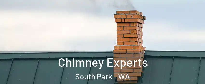 Chimney Experts South Park - WA