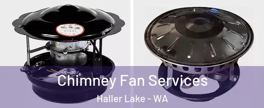 Chimney Fan Services Haller Lake - WA