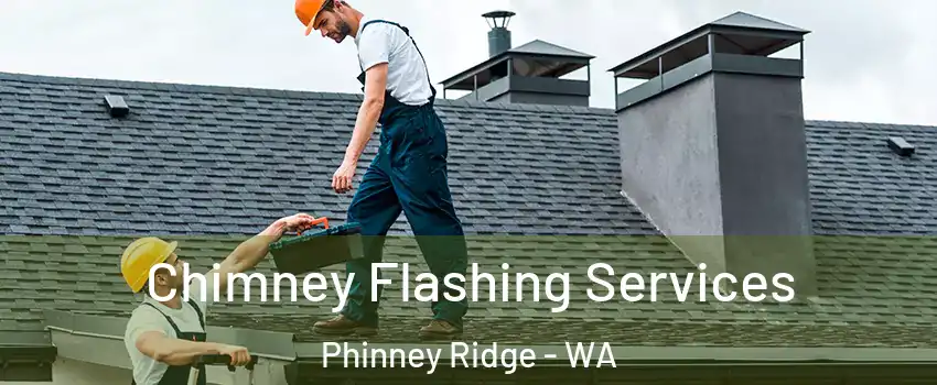 Chimney Flashing Services Phinney Ridge - WA