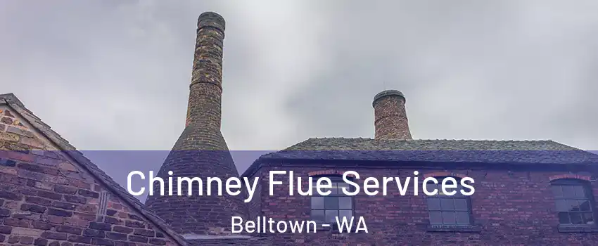 Chimney Flue Services Belltown - WA
