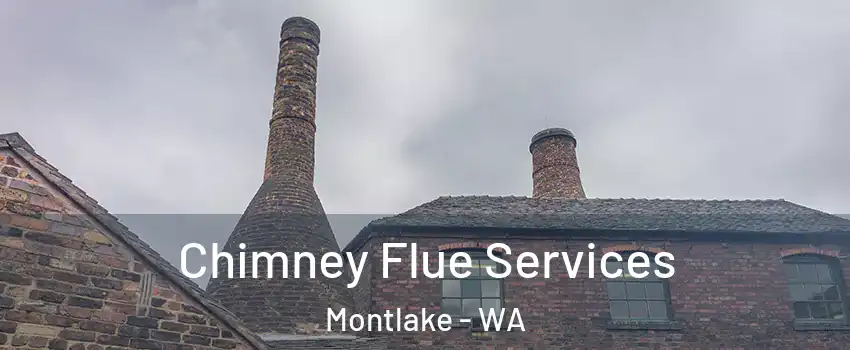 Chimney Flue Services Montlake - WA