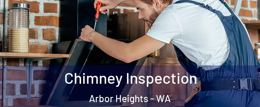 Chimney Inspection Arbor Heights - WA