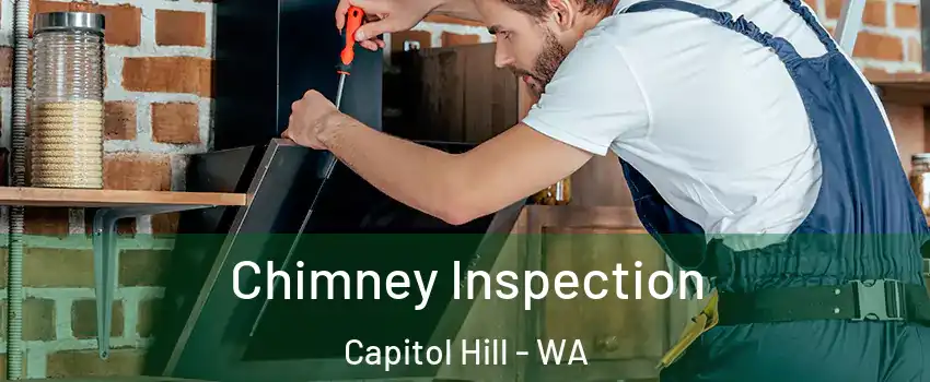 Chimney Inspection Capitol Hill - WA