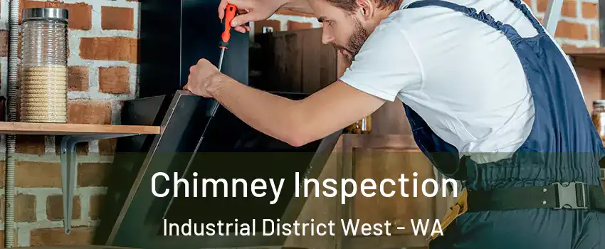 Chimney Inspection Industrial District West - WA