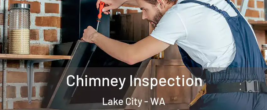 Chimney Inspection Lake City - WA