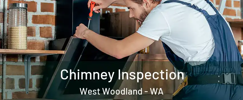 Chimney Inspection West Woodland - WA