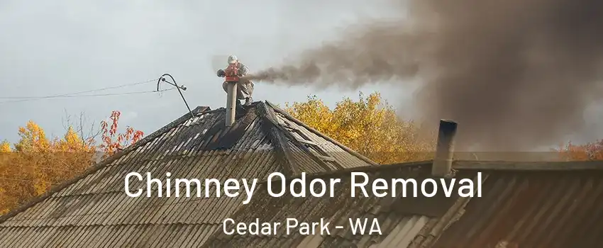 Chimney Odor Removal Cedar Park - WA