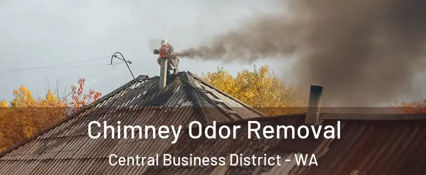 Chimney Odor Removal Central Business District - WA