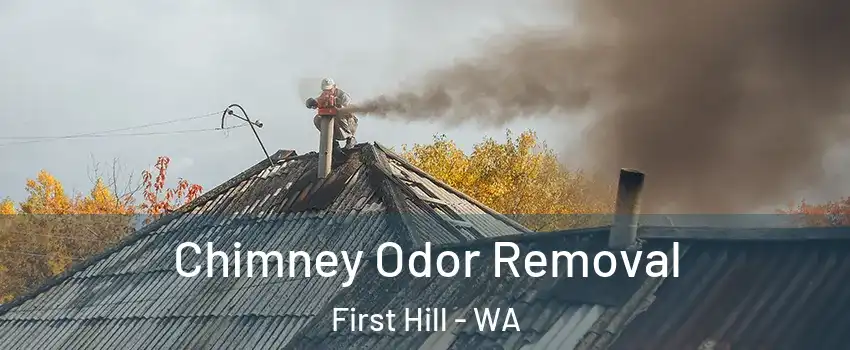 Chimney Odor Removal First Hill - WA