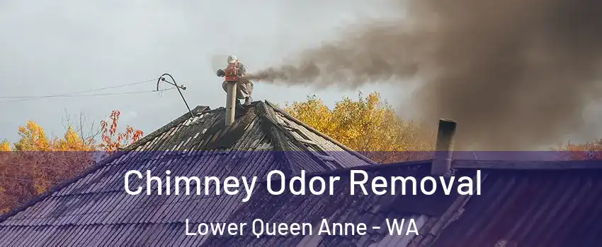 Chimney Odor Removal Lower Queen Anne - WA