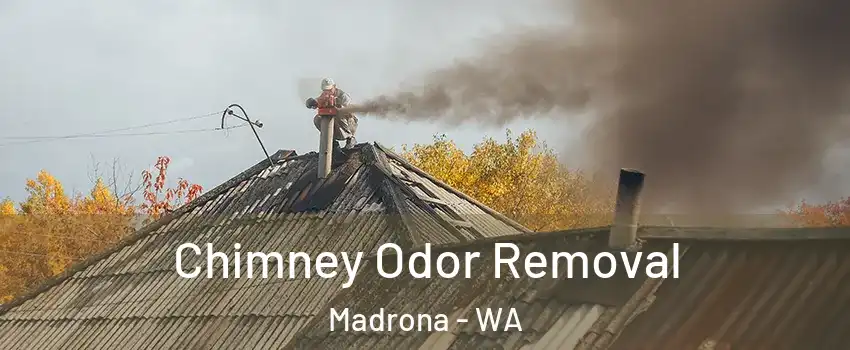 Chimney Odor Removal Madrona - WA