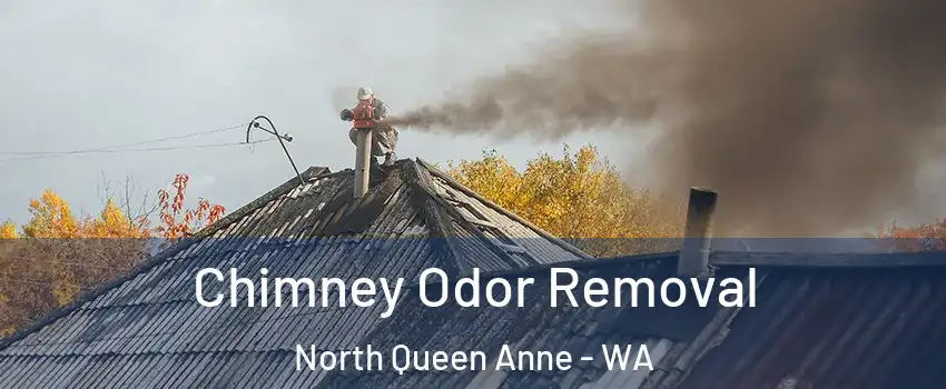 Chimney Odor Removal North Queen Anne - WA
