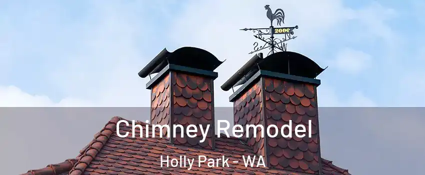 Chimney Remodel Holly Park - WA