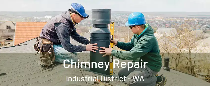 Chimney Repair Industrial District - WA