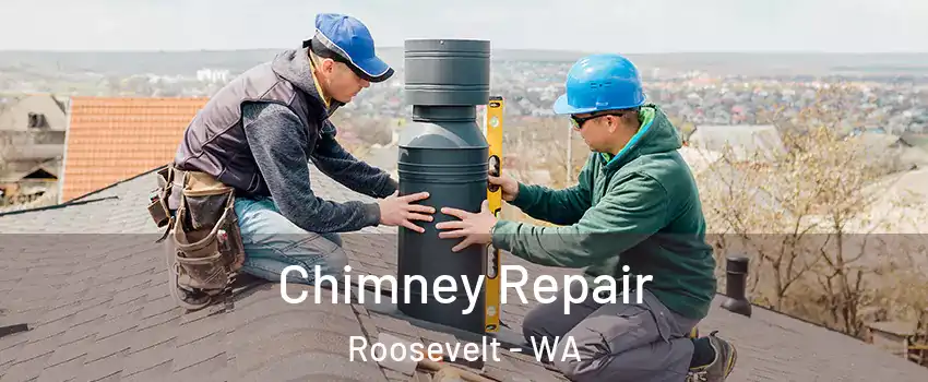Chimney Repair Roosevelt - WA