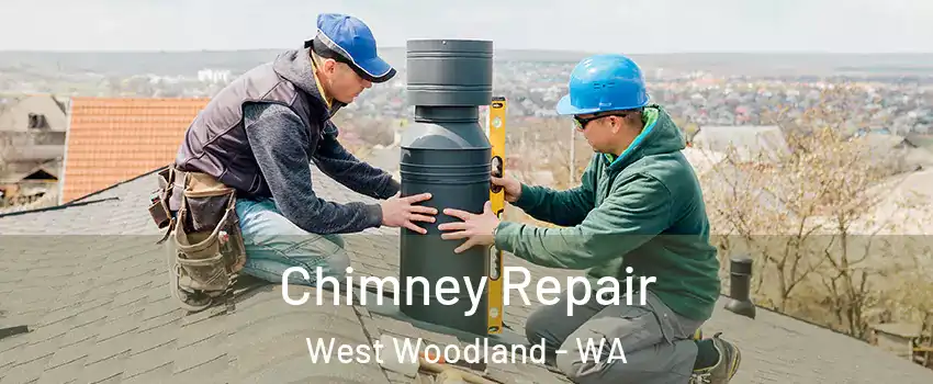Chimney Repair West Woodland - WA