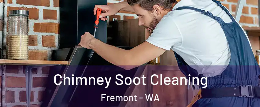 Chimney Soot Cleaning Fremont - WA