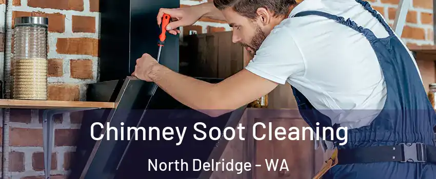 Chimney Soot Cleaning North Delridge - WA