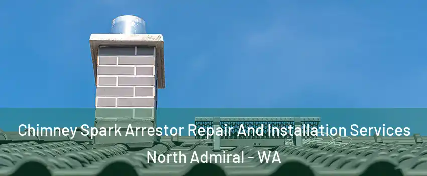Chimney Spark Arrestor Repair And Installation Services North Admiral - WA