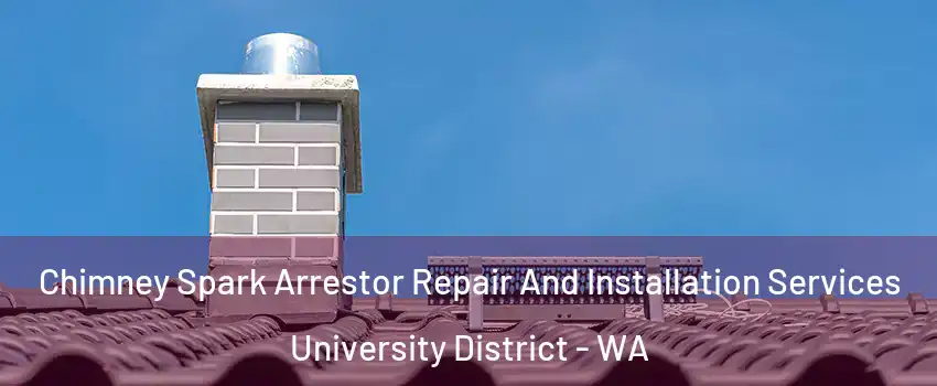 Chimney Spark Arrestor Repair And Installation Services University District - WA