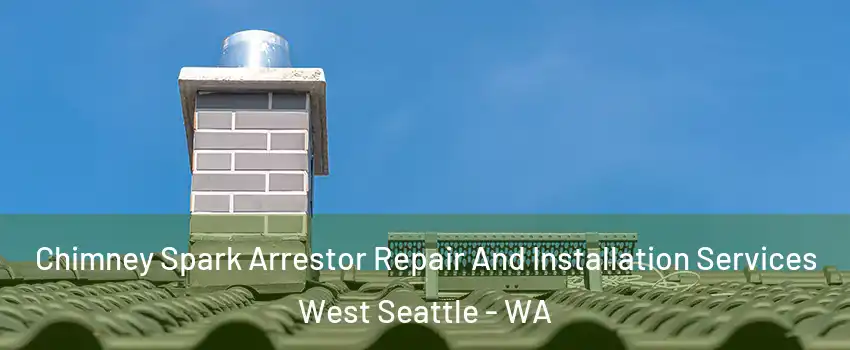 Chimney Spark Arrestor Repair And Installation Services West Seattle - WA