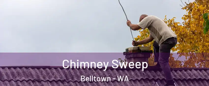 Chimney Sweep Belltown - WA