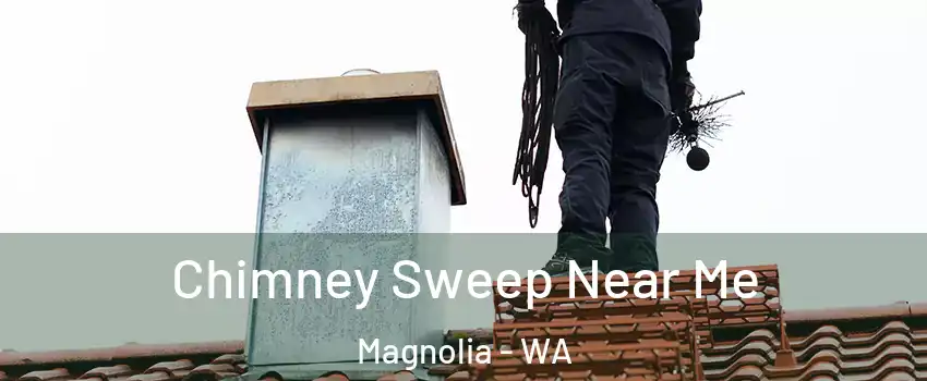 Chimney Sweep Near Me Magnolia - WA