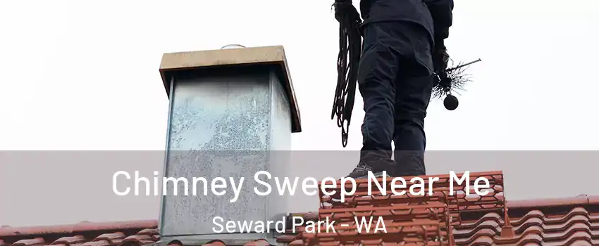 Chimney Sweep Near Me Seward Park - WA
