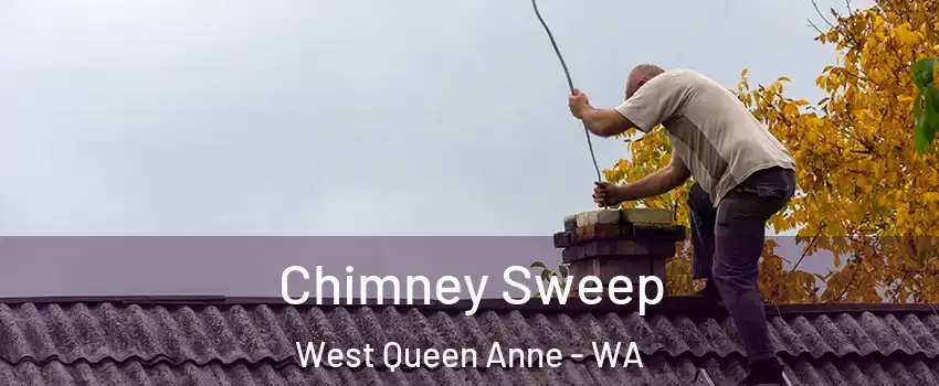Chimney Sweep West Queen Anne - WA
