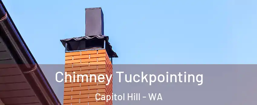 Chimney Tuckpointing Capitol Hill - WA