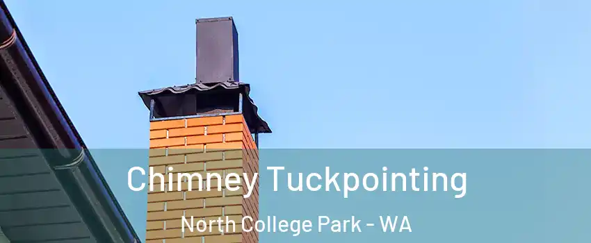 Chimney Tuckpointing North College Park - WA