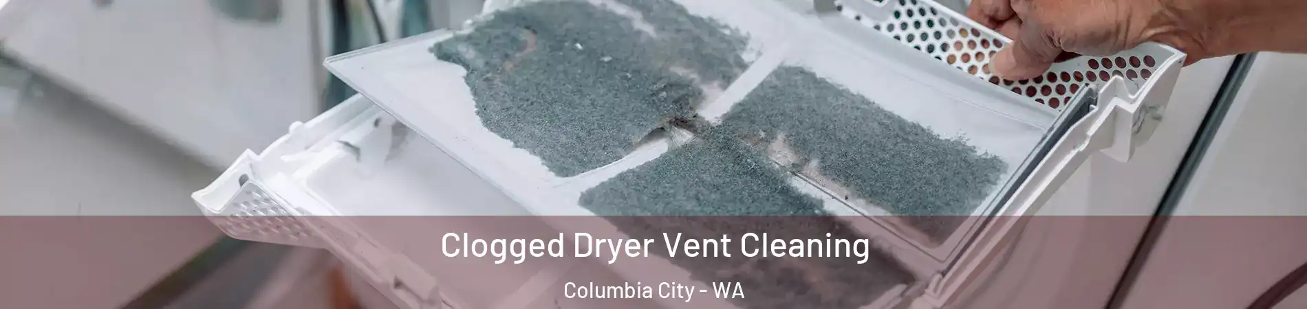 Clogged Dryer Vent Cleaning Columbia City - WA