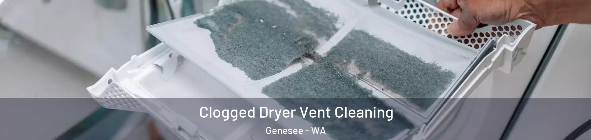 Clogged Dryer Vent Cleaning Genesee - WA