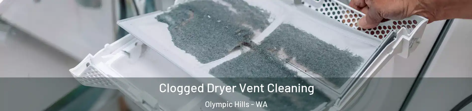 Clogged Dryer Vent Cleaning Olympic Hills - WA
