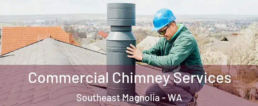 Commercial Chimney Services Southeast Magnolia - WA
